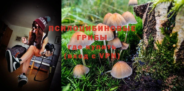 спайс Гусиноозёрск