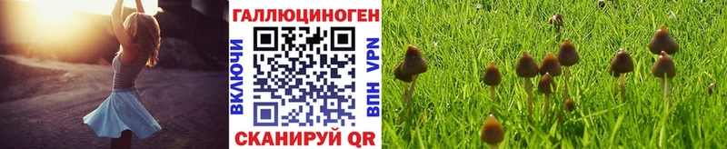 Галлюциногенные грибы прущие грибы  Южно-Сахалинск 